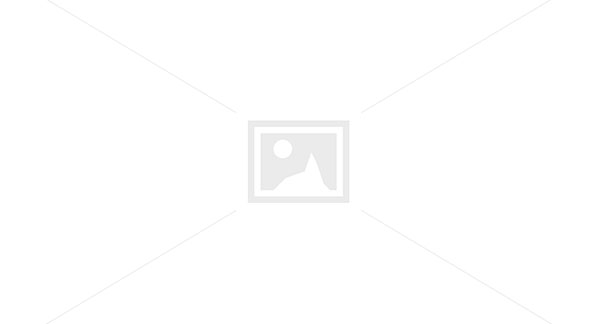 Victorinox, fibrox kokkekniv 25cm svart