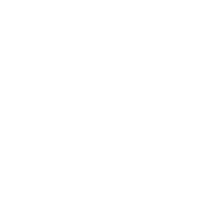Tik Tok icon